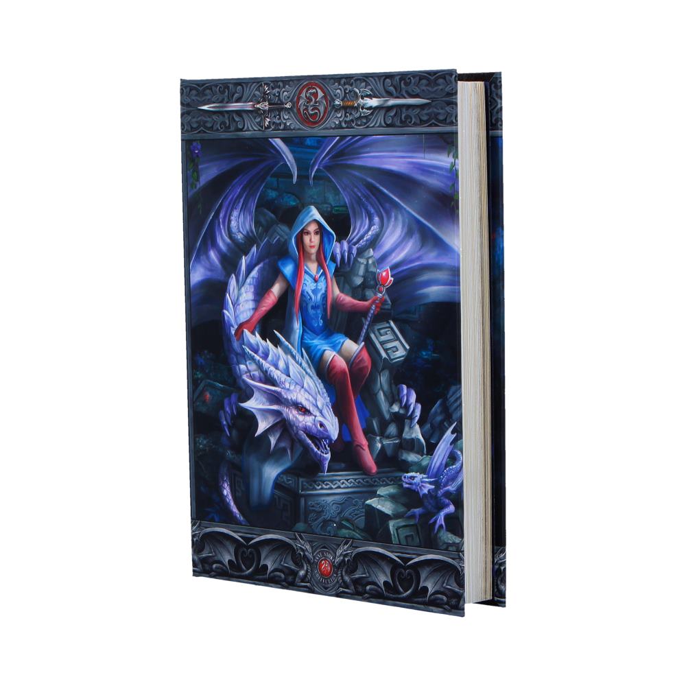 Anne Stokes The Dragon Mage Journal 17.7cm 2