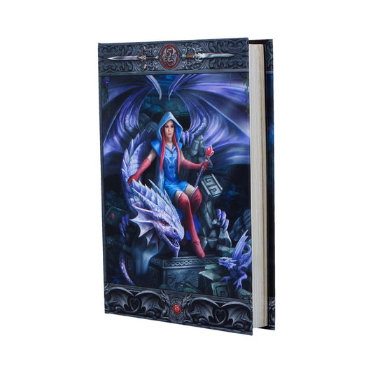 Anne Stokes The Dragon Mage Journal 17.7cm 2