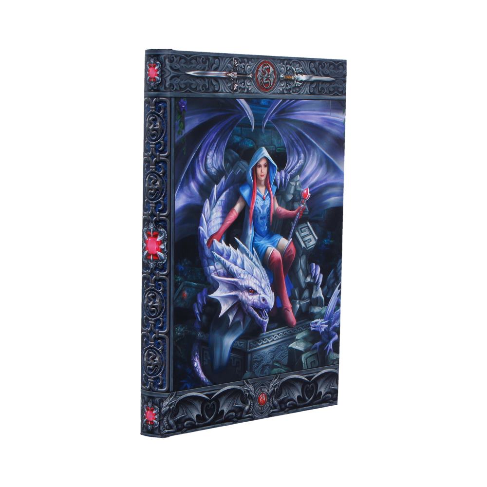 Anne Stokes The Dragon Mage Journal 17.7cm 4