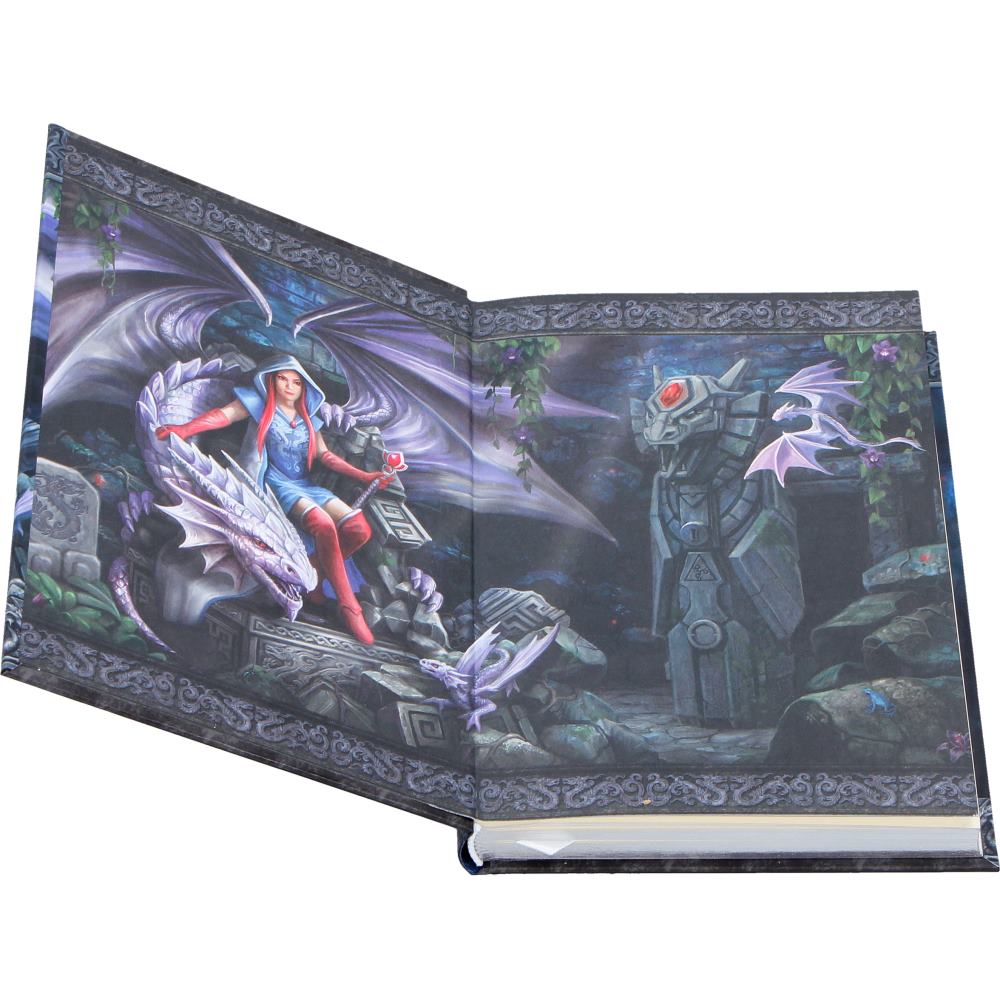 Anne Stokes The Dragon Mage Journal 17.7cm 5