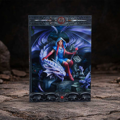 Anne Stokes The Dragon Mage Journal 17.7cm 7
