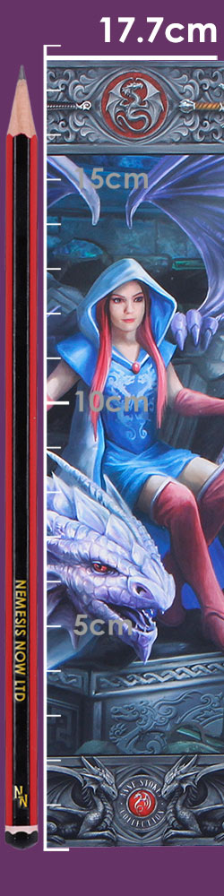 Anne Stokes The Dragon Mage Journal 17.7cm 8