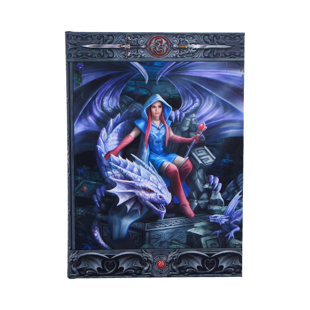 Anne Stokes The Dragon Mage Journal 17.7cm 1