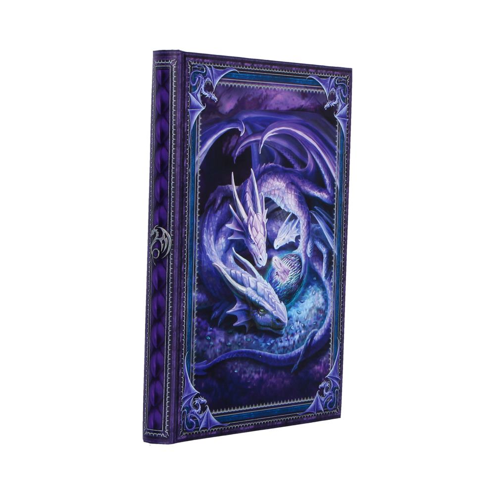 Anne Stokes Welcome Hatchling Journal 17.7cm 4