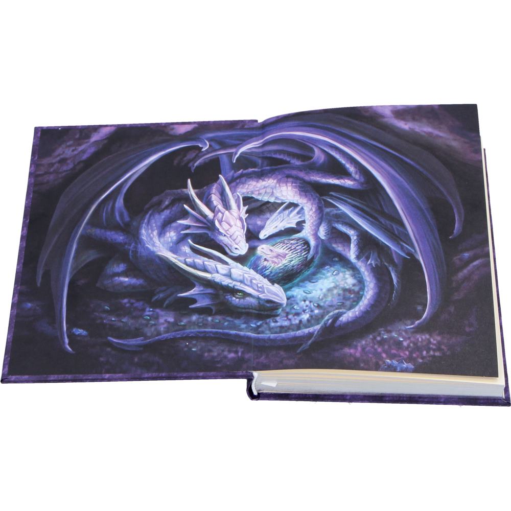 Anne Stokes Welcome Hatchling Journal 17.7cm