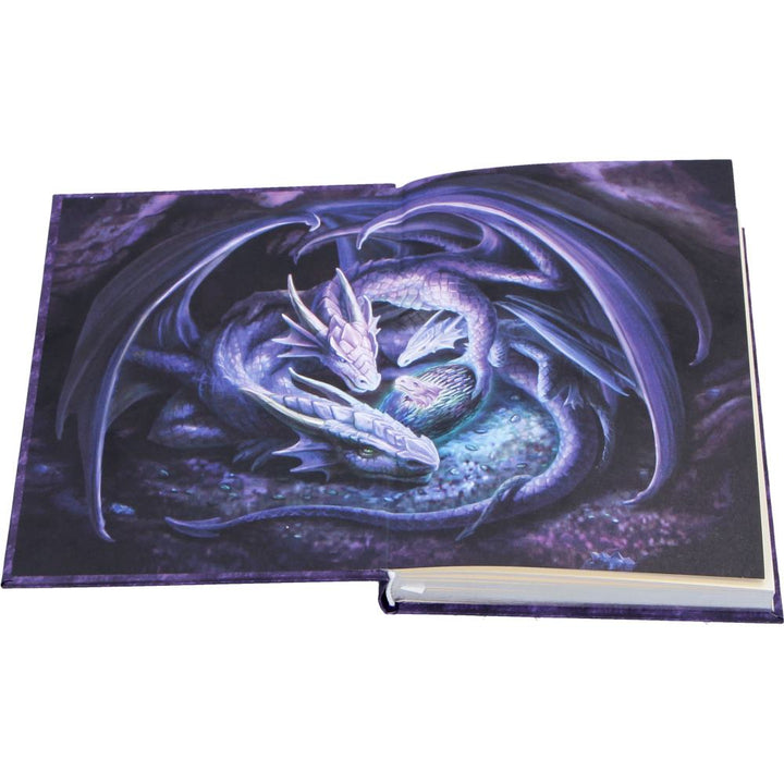 Anne Stokes Welcome Hatchling Journal 17.7cm