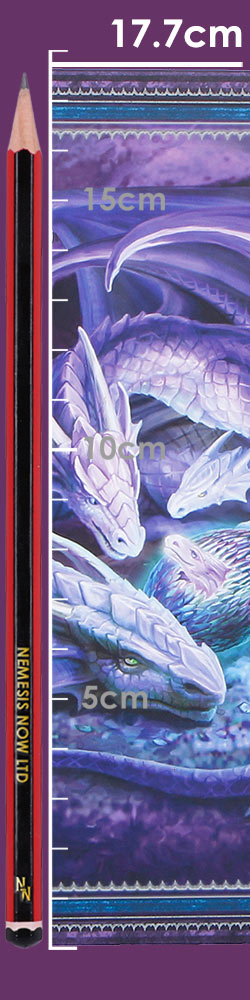 Anne Stokes Welcome Hatchling Journal 17.7cm