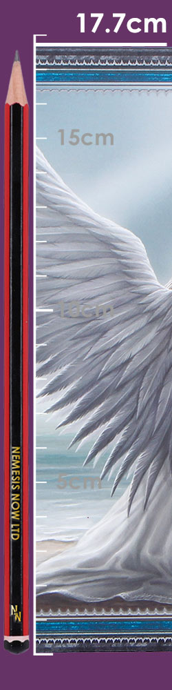 Anne Stokes Spirit Guide Journal 17.7cm