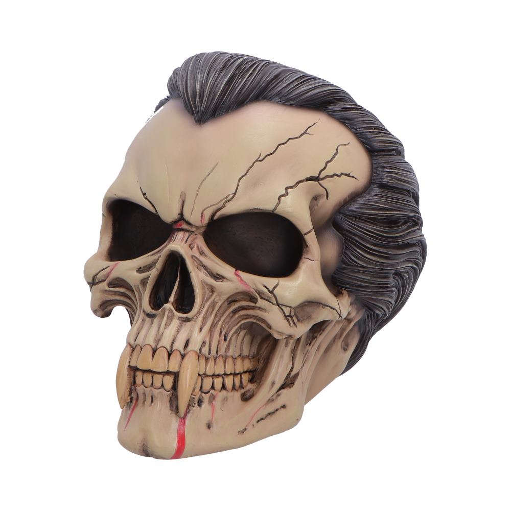 Hall of Horrors The Lord of the Night Dracula Skull 15.4cm