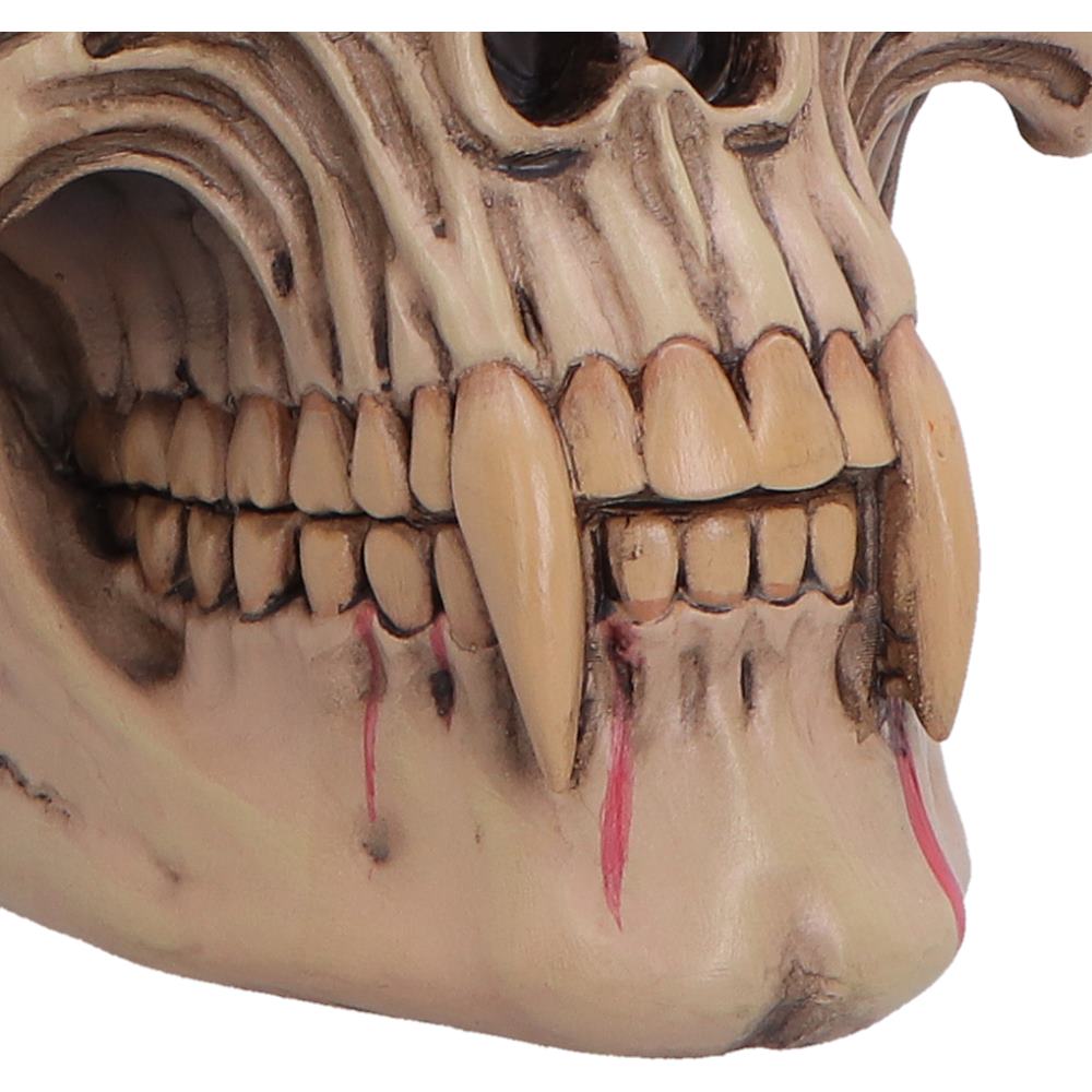 Hall of Horrors The Lord of the Night Dracula Skull 15.4cm 5