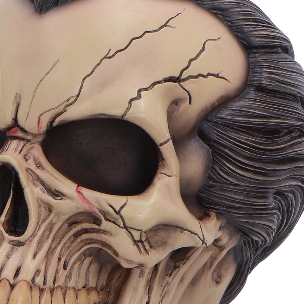 Hall of Horrors The Lord of the Night Dracula Skull 15.4cm 6