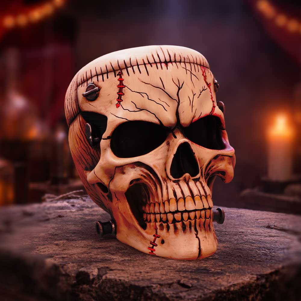 Hall of Horrors The Monster of Madness Skull 15.1cm 7
