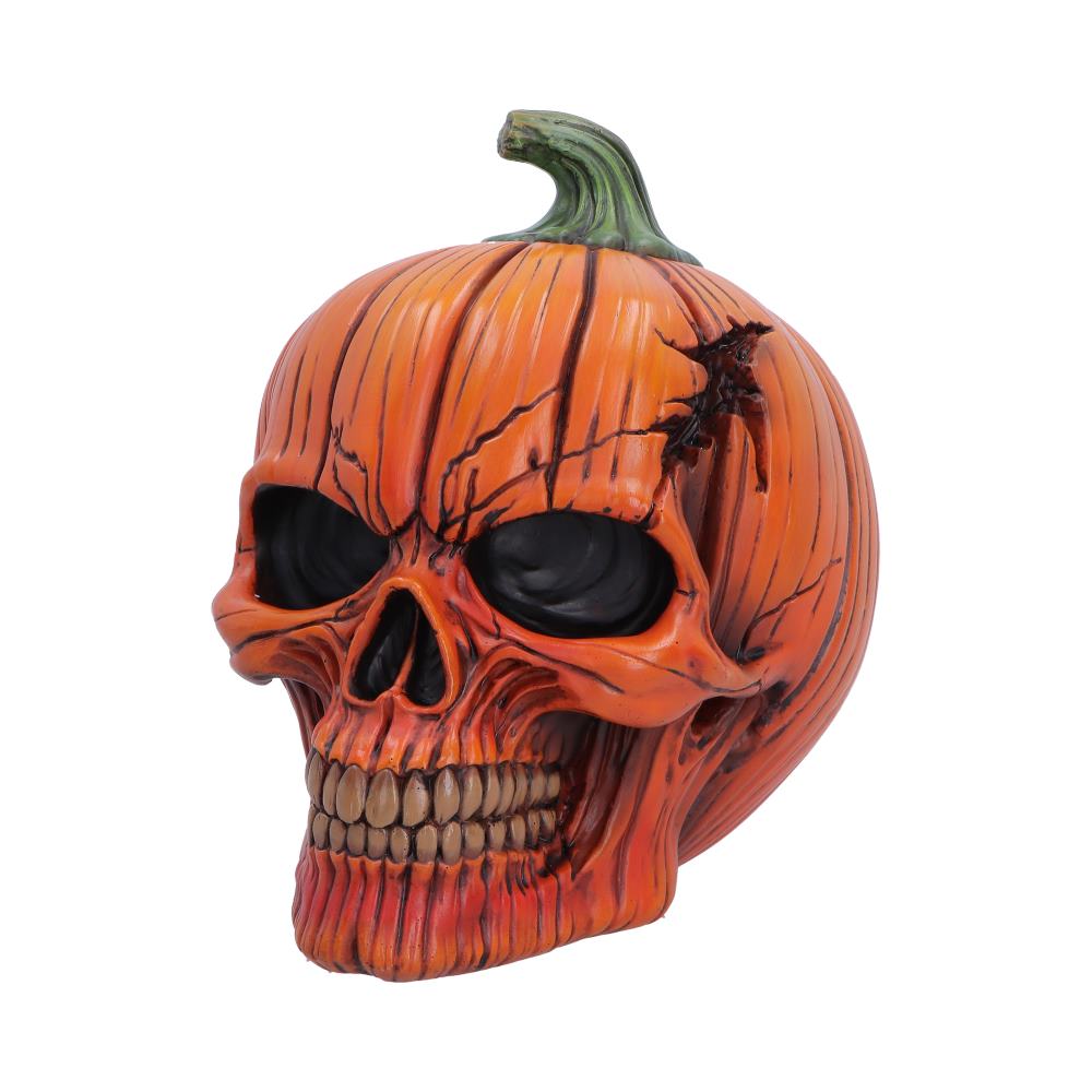 Hall of Horrors The Spirit of Halloween Pumpkin Skull 17.5cm 2