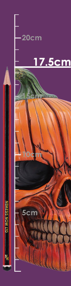 Hall of Horrors The Spirit of Halloween Pumpkin Skull 17.5cm 8