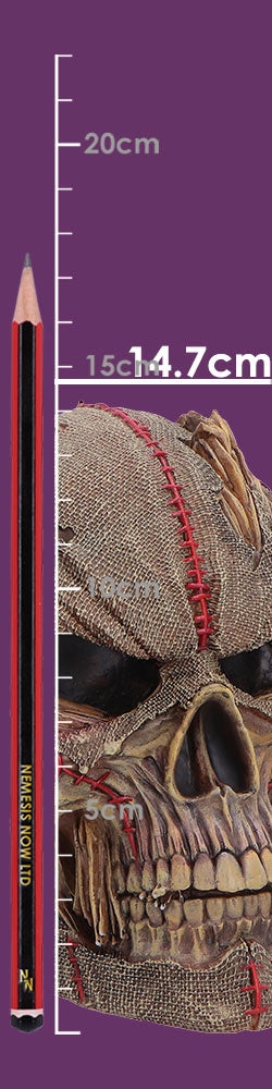 Hall of Horrors The Keeper of the Harvest Scarecrow Skull 14.7cm 8
