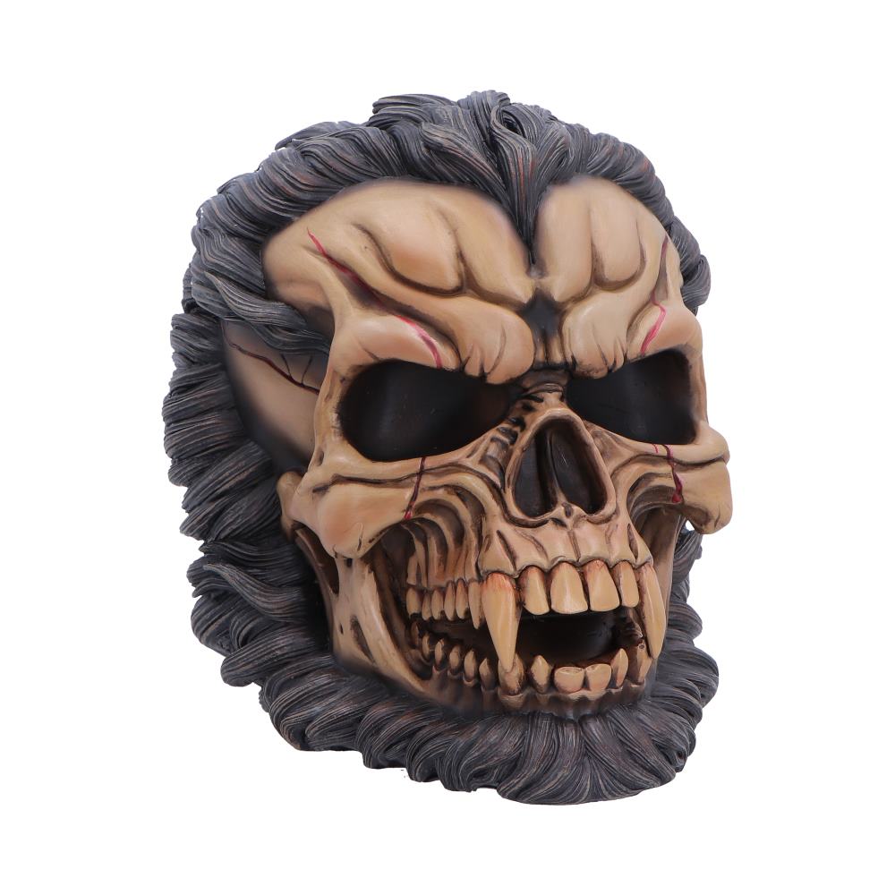 Hall of Horrors The Beast of the Moon Werewolf Skull 16cm 1