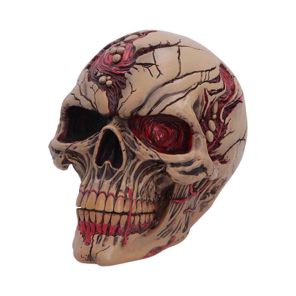Hall of Horrors The Walker of Death Zombie Skull 15.5cm 2