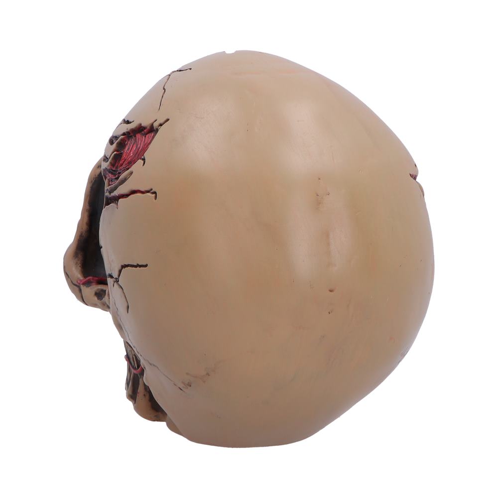 Hall of Horrors The Walker of Death Zombie Skull 15.5cm 3