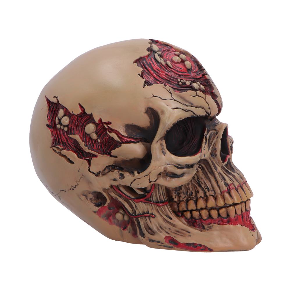 Hall of Horrors The Walker of Death Zombie Skull 15.5cm 4