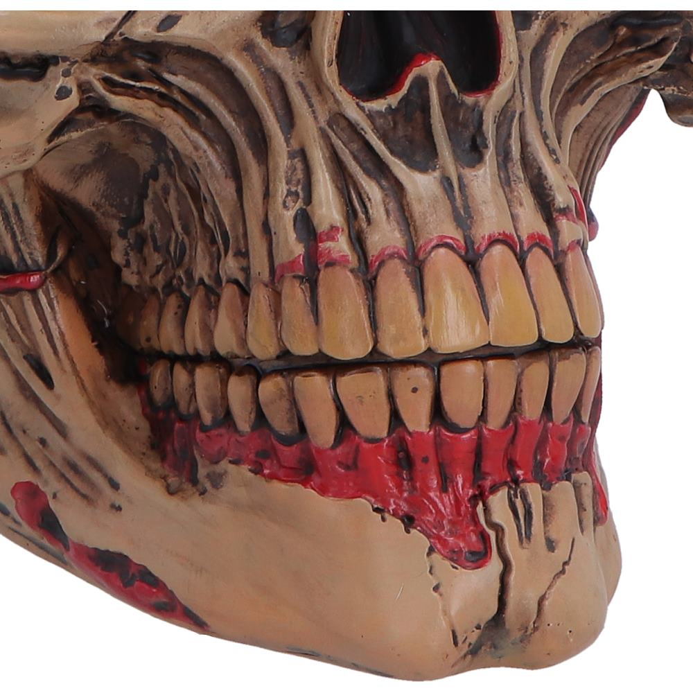 Hall of Horrors The Walker of Death Zombie Skull 15.5cm 5