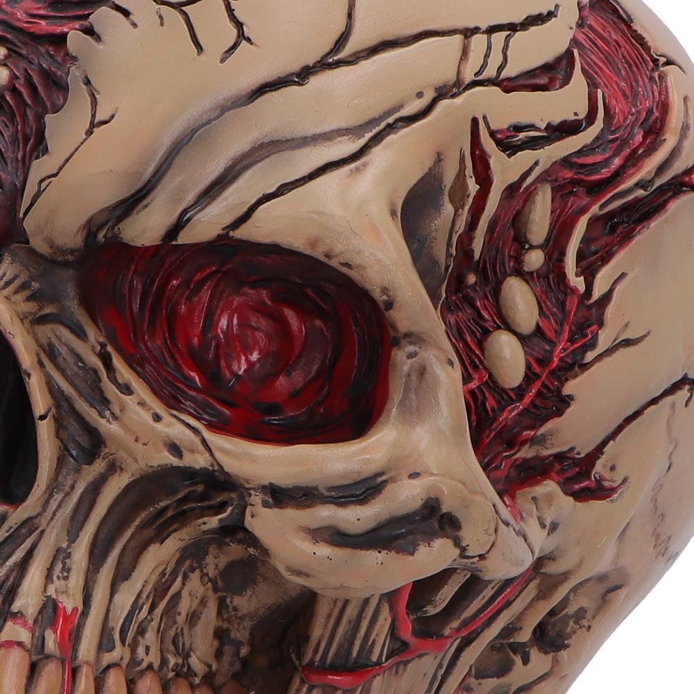 Hall of Horrors The Walker of Death Zombie Skull 15.5cm 6