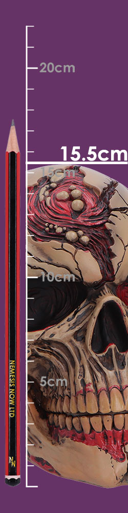 Hall of Horrors The Walker of Death Zombie Skull 15.5cm 8