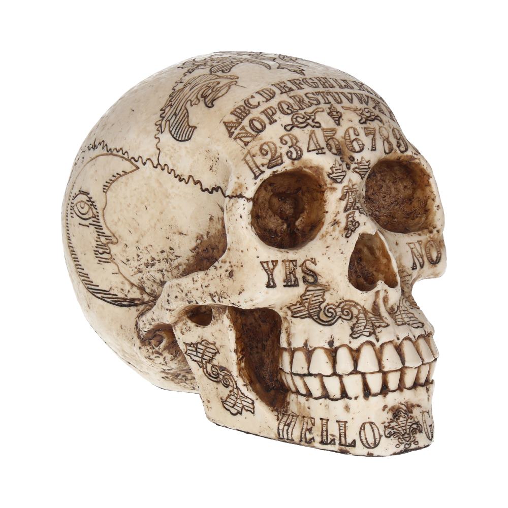 Nemesis Now Spirits Commune Skull 20cm