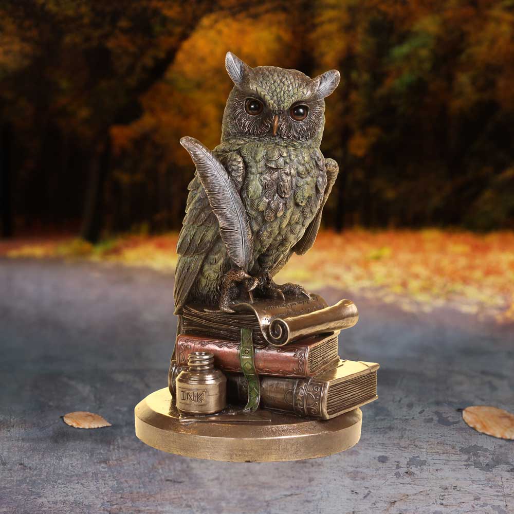 Ulula Bronze Academic Owl Figurine 23cm 5