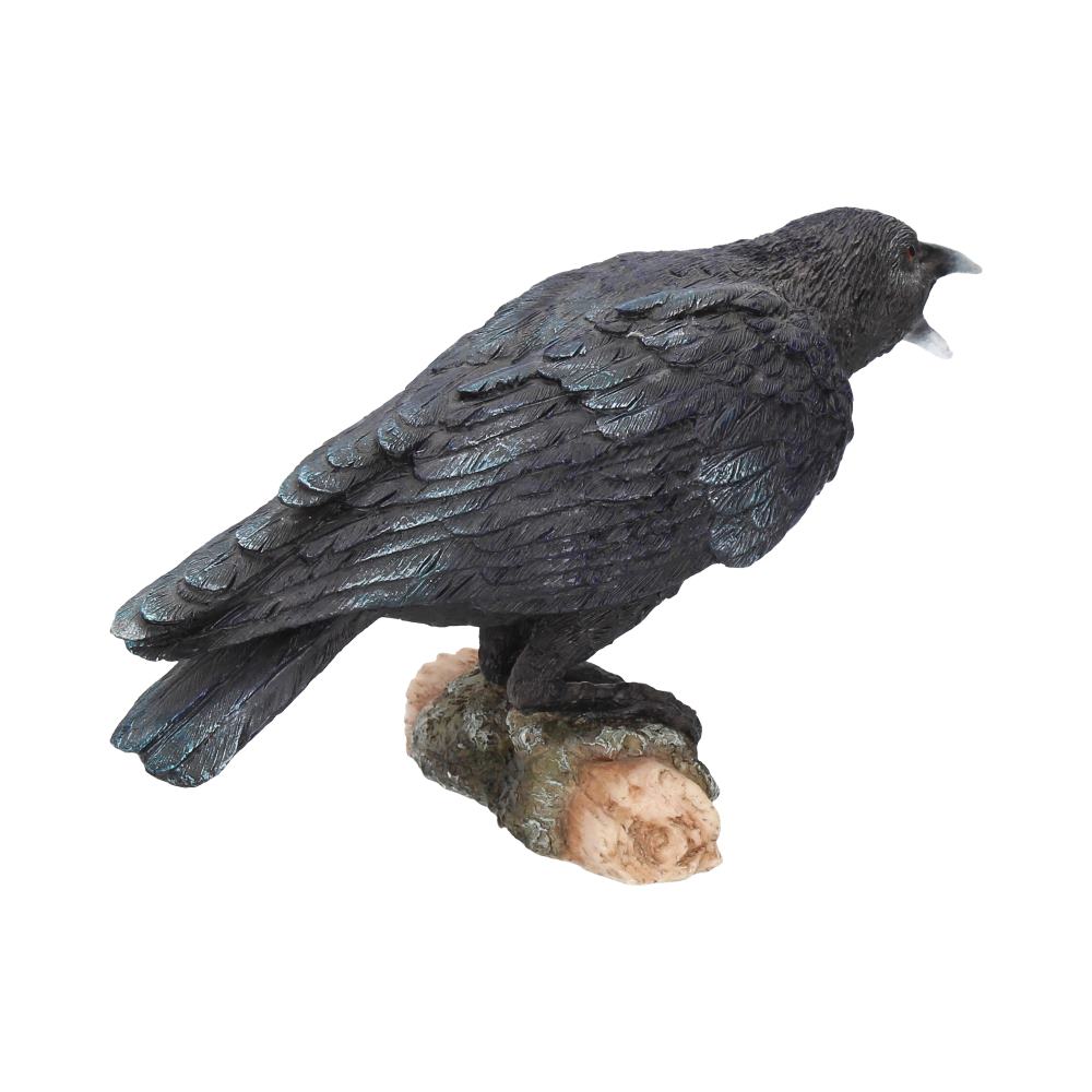 Ravens Call Figurine Gothic Bird Ornament Ravens 20cm 4