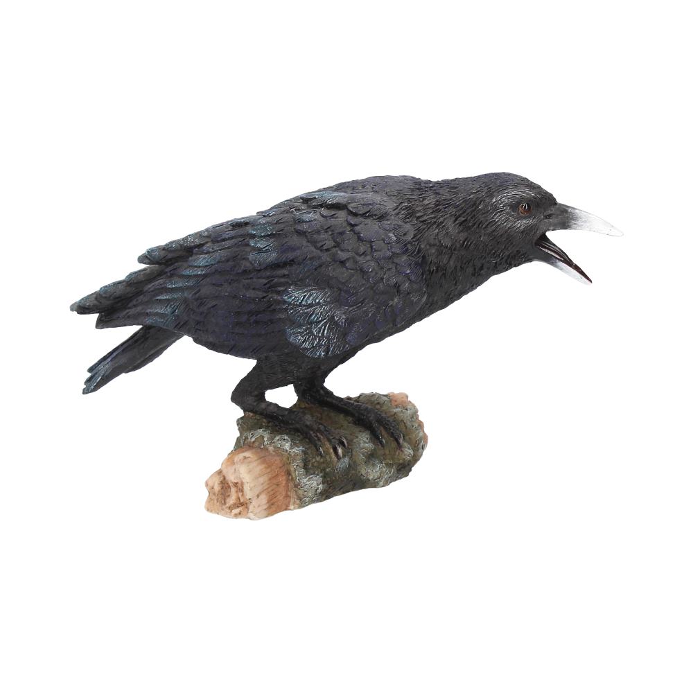 Ravens Call Figurine Gothic Bird Ornament Ravens 20cm 5