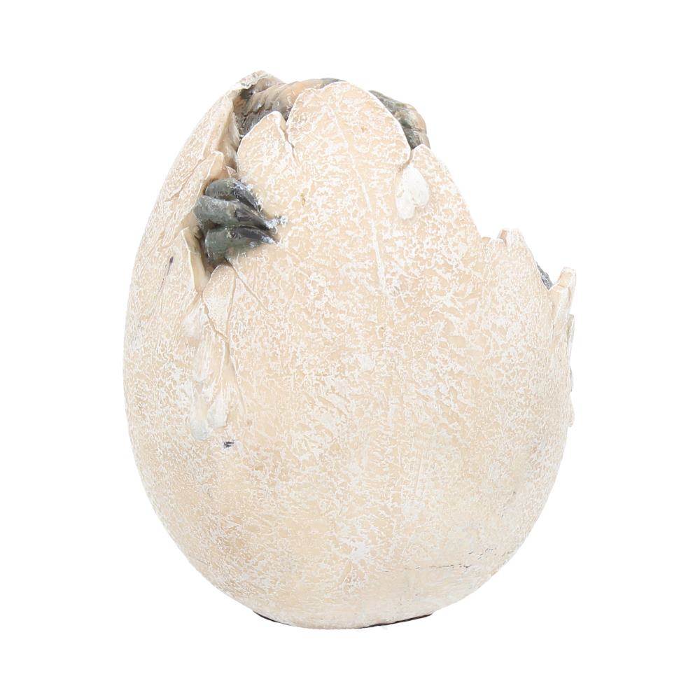 Wyrmlings Dragon Egg First Light 12cm 5