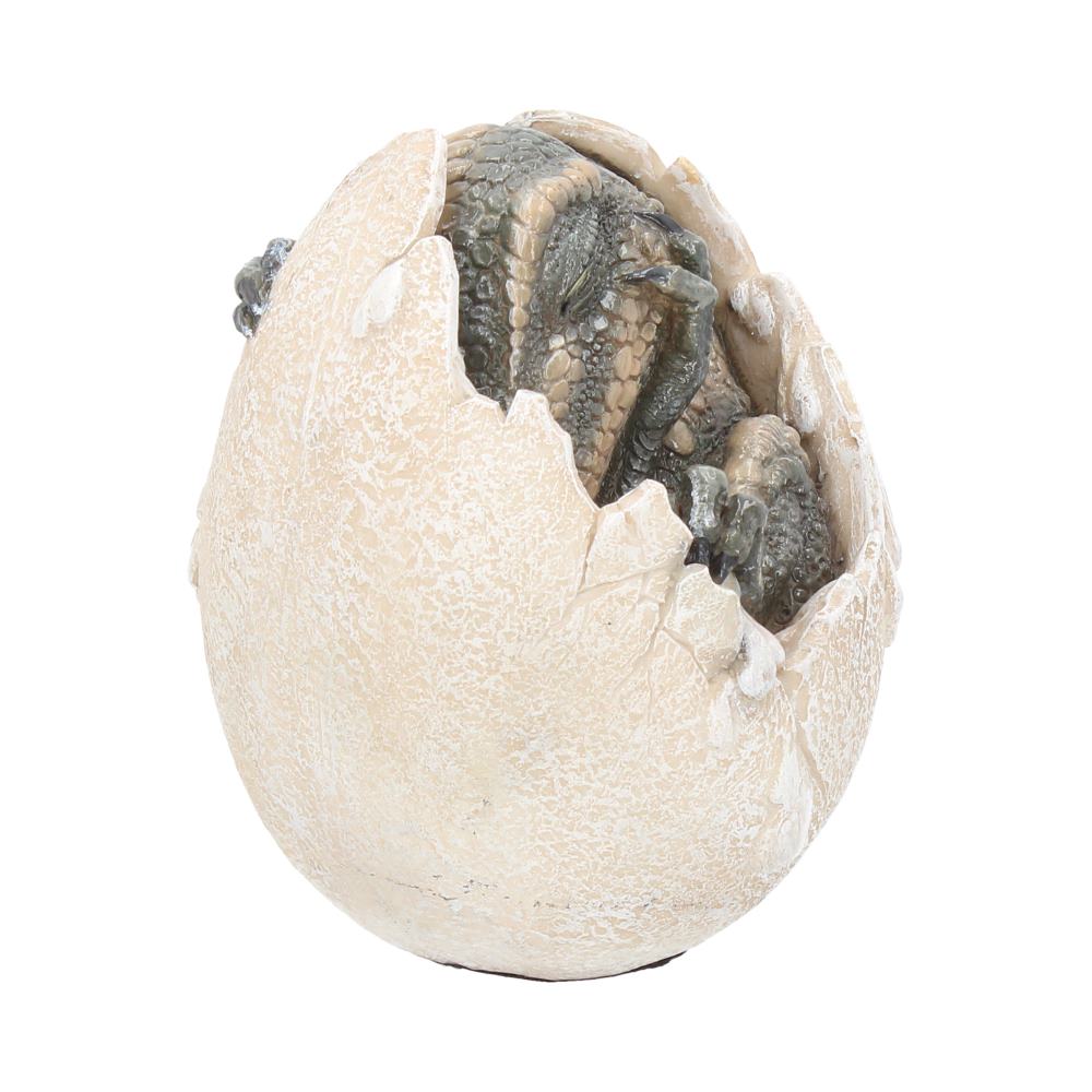 Wyrmlings Dragon Egg First Light 12cm 6