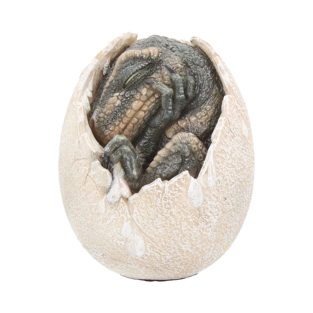 Wyrmlings Dragon Egg First Light 12cm 1