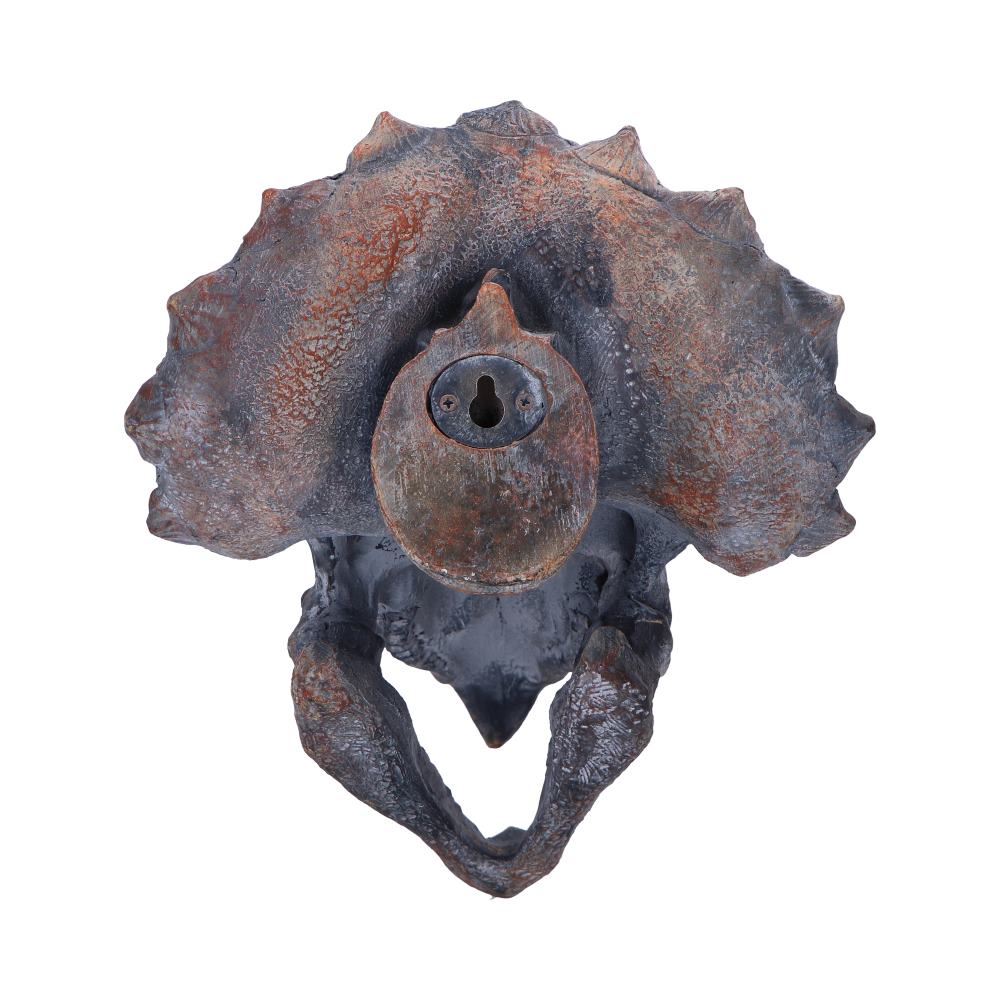 Triceratops Head Dinosaur Skull 23cm Resin Statue 3