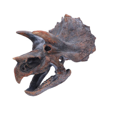 Triceratops Head Dinosaur Skull 23cm Resin Statue 4