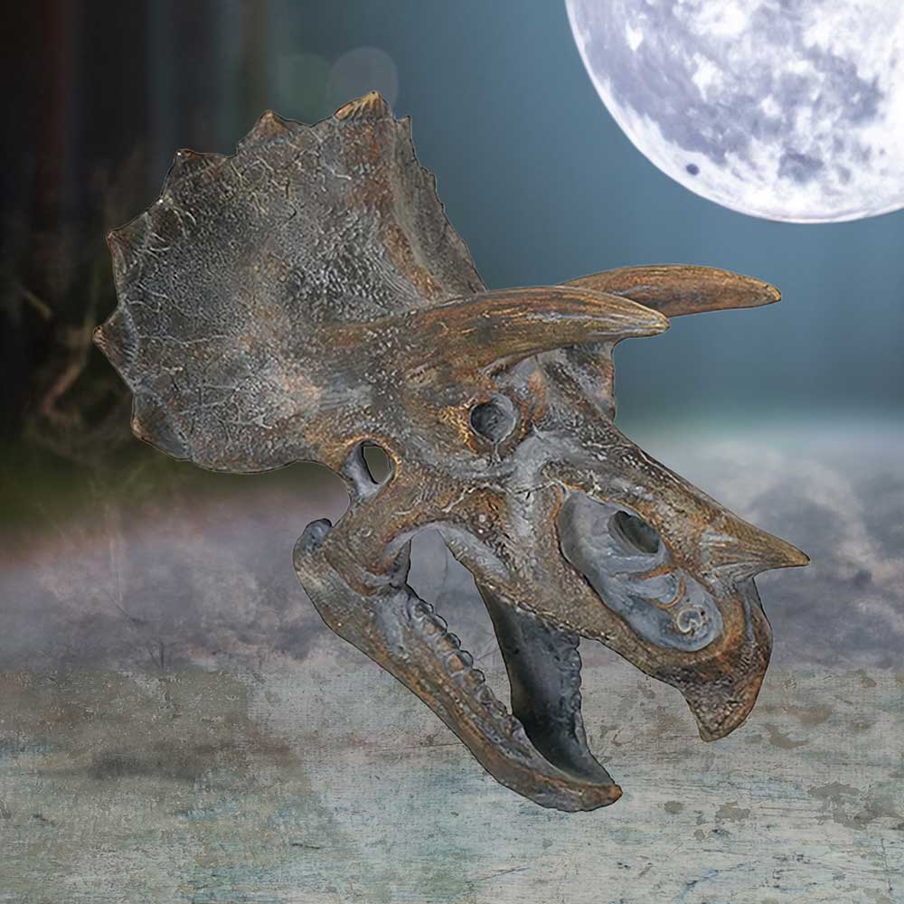 Triceratops Head Dinosaur Skull 23cm Resin Statue 7
