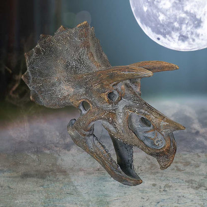 Triceratops Head Dinosaur Skull 23cm Resin Statue 7