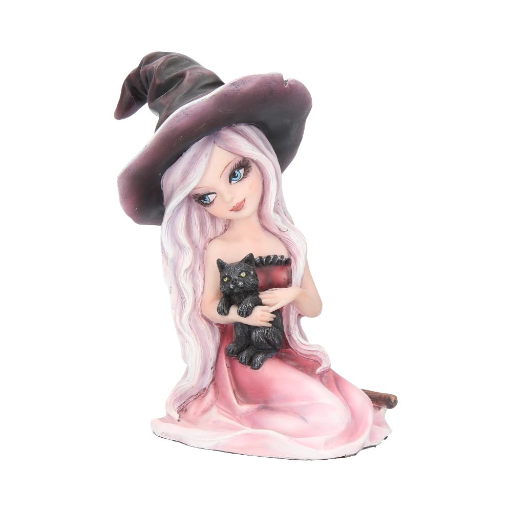 Rosa Figurine Witch Black Cat Ornament 15cm 1