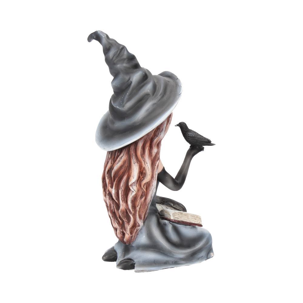 Regan Witch Her Raven Figurine 15cm 5