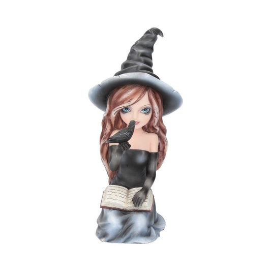 Regan Witch Her Raven Figurine 15cm 1