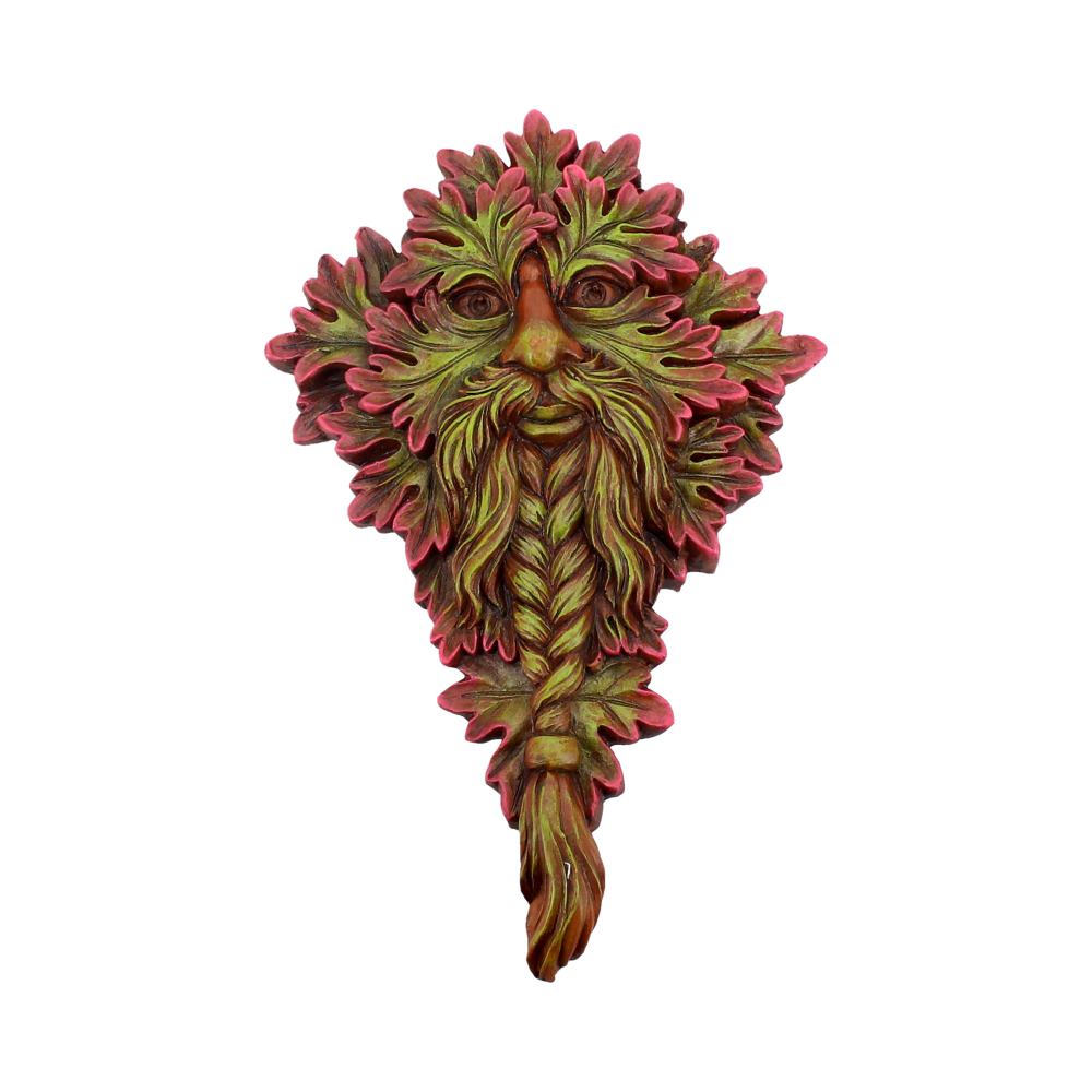 Tree Spirit Wall Plaque Mabon Wisdom 21.5cm 1