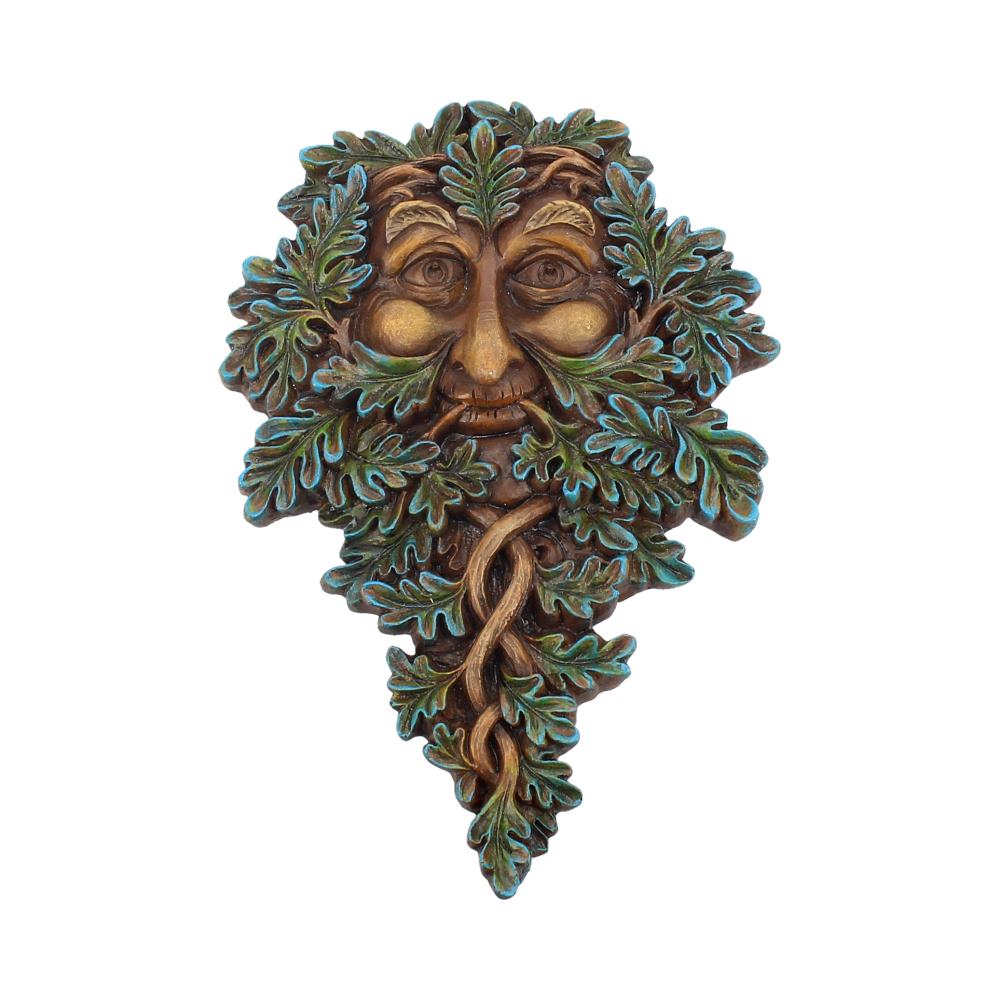 Tree Spirit Wall Plaque Oak Guardian 19.5cm 1
