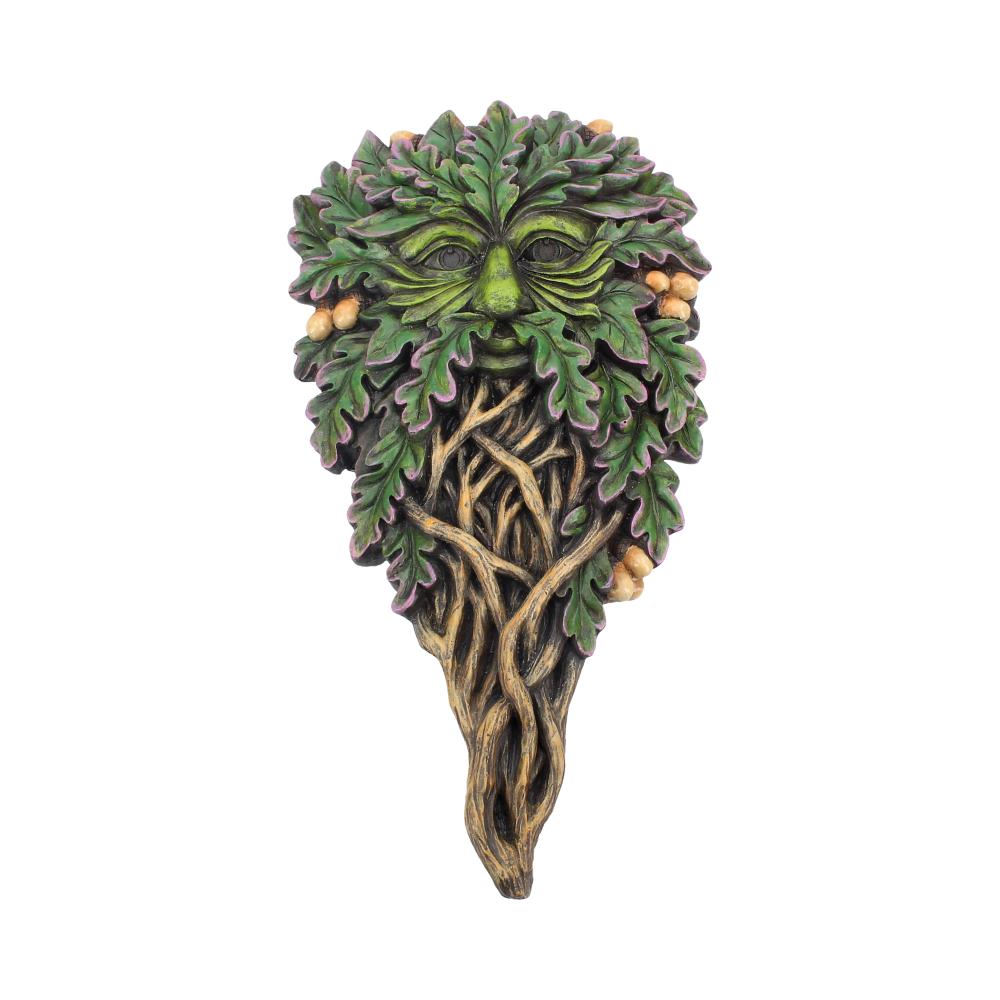 Tree Spirit Wall Plaque All Seeing Oak 29cm 1