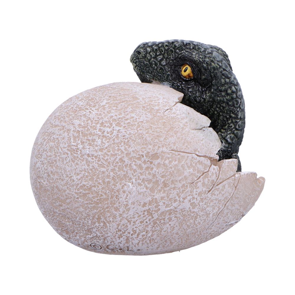 Raptors Dawn Dinosaur Hatchling Egg Figurine 10cm 3