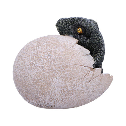 Raptors Dawn Dinosaur Hatchling Egg Figurine 10cm 3