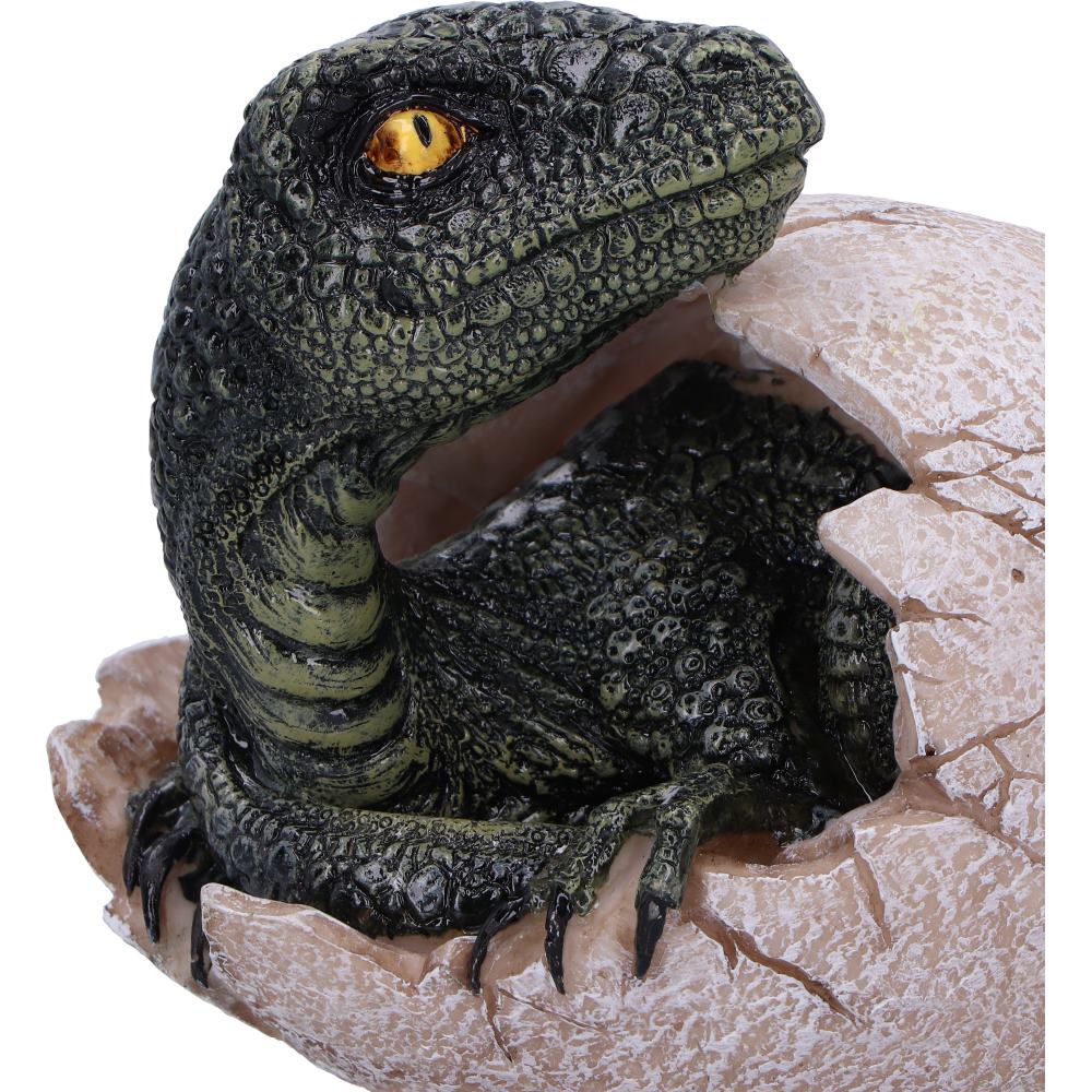 Raptors Dawn Dinosaur Hatchling Egg Figurine 10cm 5