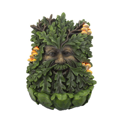 Elderwood Wall Art Tree Man Spirit Hanging Plaque 23.8cm 1