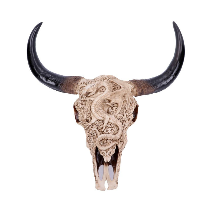 Mythical Markings Carved Dragon Animal Skull 44.5cm