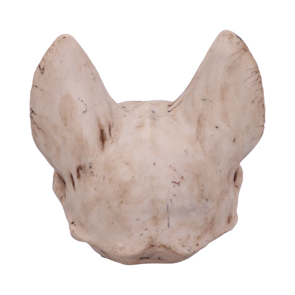 Bastets Secret Cat Skull Figurine Ornament 15cm 3