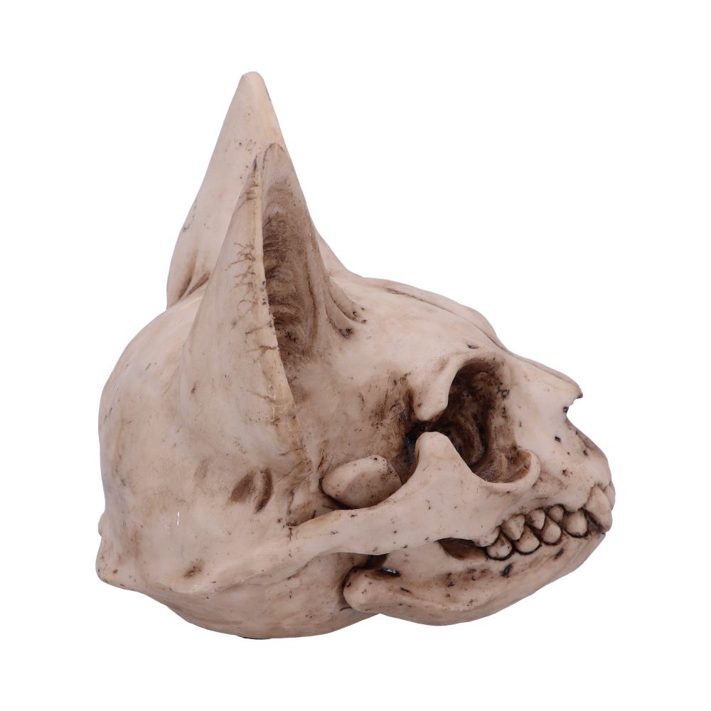 Bastets Secret Cat Skull Figurine Ornament 15cm 4